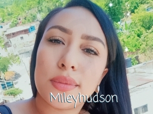 Mileyhudson