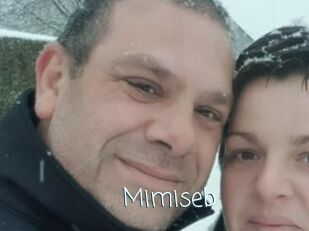 Mimiseb