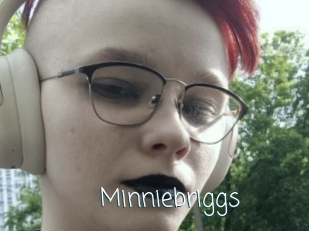Minniebriggs
