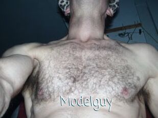 Modelguy
