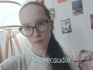 Moirecaudle