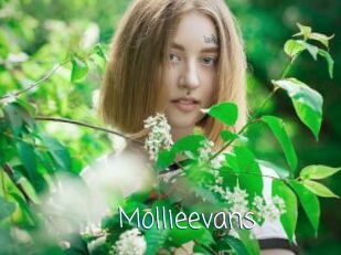 mollieevans Adult o Porn