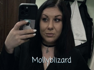 Mollyblizard