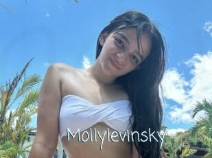 Mollylevinsky