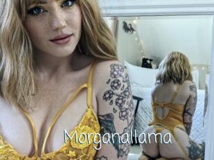 Morganallama