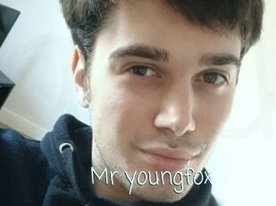 Mr_youngfox