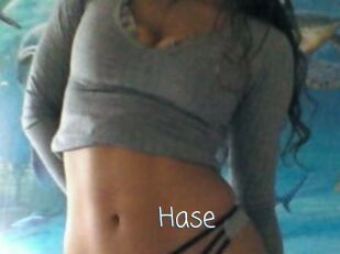 Hase