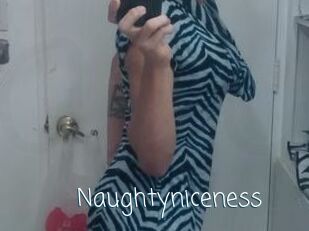 Naughtyniceness