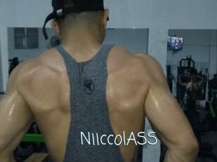 NiiccolASS
