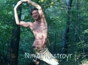 NinjaDickstroyr