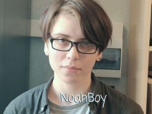 NoahBoy