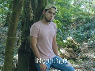 NoahDiaz