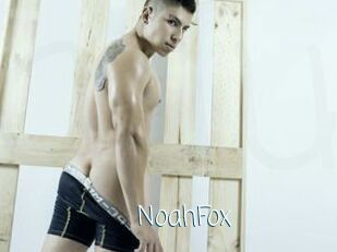 NoahFox