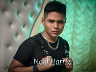 NoahHarris