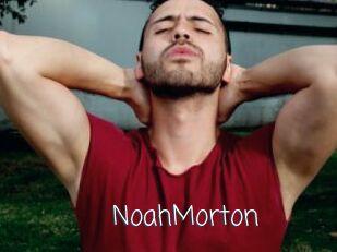 NoahMorton