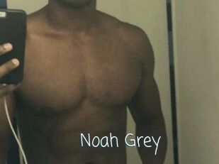 Noah_Grey