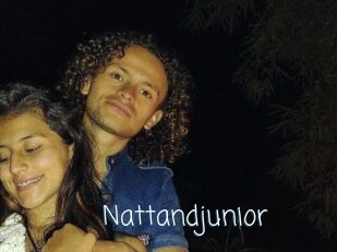 Nattandjunior
