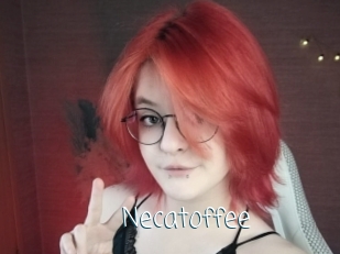 necatoffee Adult o Porn