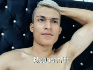 noahsmitt Adult o Porn