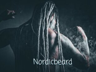 nordicbeard Adult o Porn