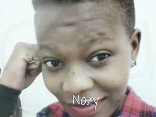 Nozy