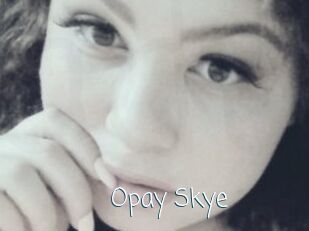 Opay_Skye