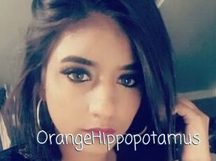 OrangeHippopotamus