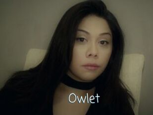 _Owlet_