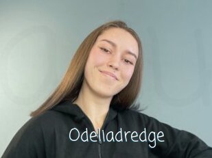 Odeliadredge