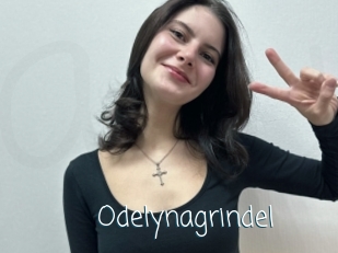 Odelynagrindel