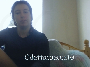 Odettacaecus19