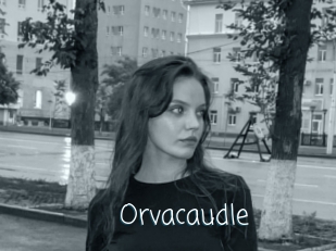 Orvacaudle