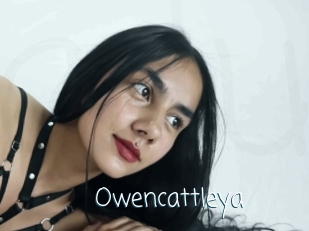 Owencattleya