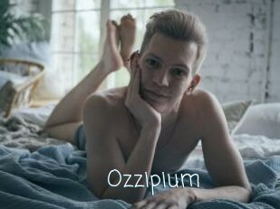 Ozzipium