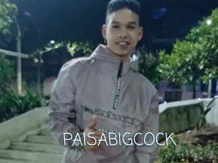 PAISABIGCOCK