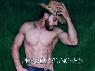 PERSEUS11INCHES