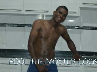 POOL_THE_MOSTER_COCK