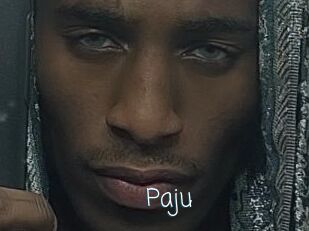 Paju