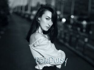 PaleDaisy