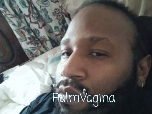 PalmVagina