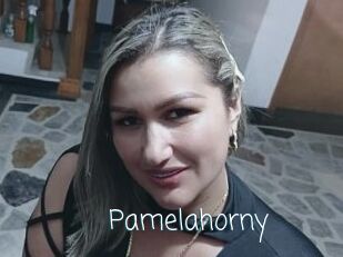 Pamelahorny Adult o Porn