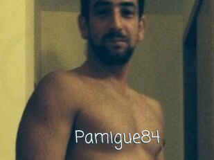Pamigue84