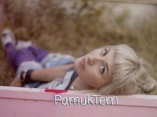 PamukTerri