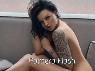 Pantera_Flash