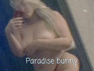 Paradise_bunny