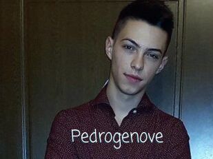 Pedrogenove