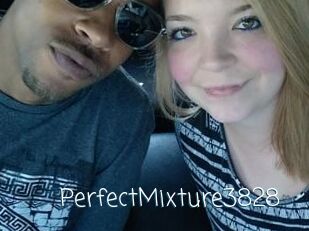 PerfectMixture3828