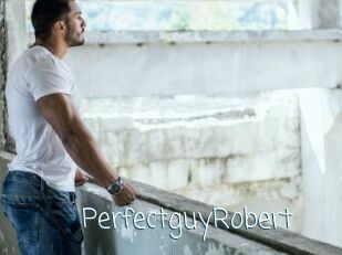 PerfectguyRobert
