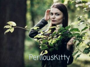 Perilous_Kitty
