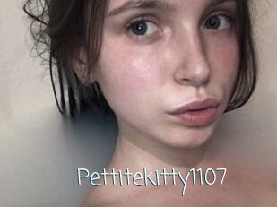 Pettitekitty1107